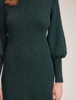 Eva Merino Wool Roll Neck Dress - Dark Green -CEFINN Shop WI23 D574 EVA DARKGREEN LS 35289